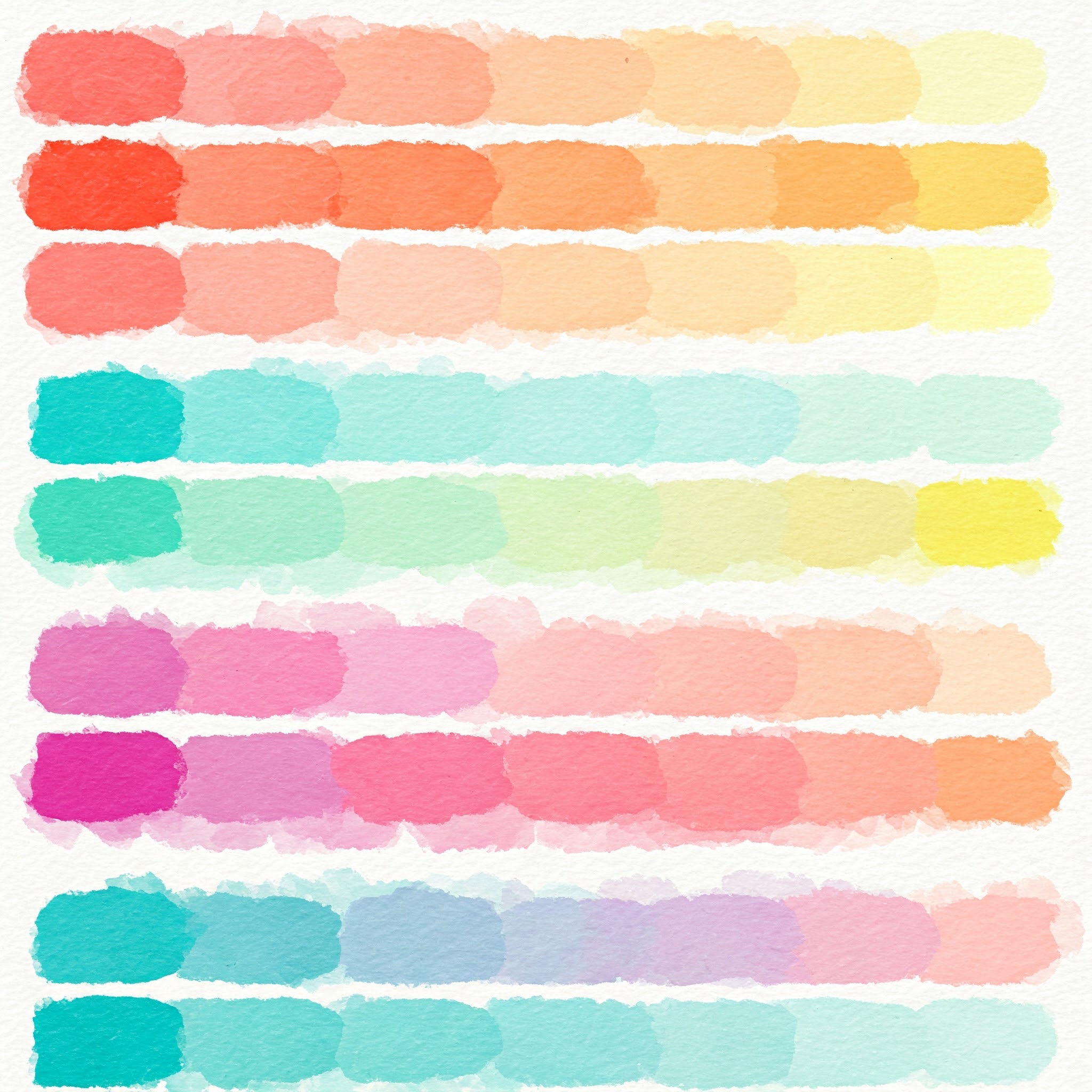carta de colores pintura tropical